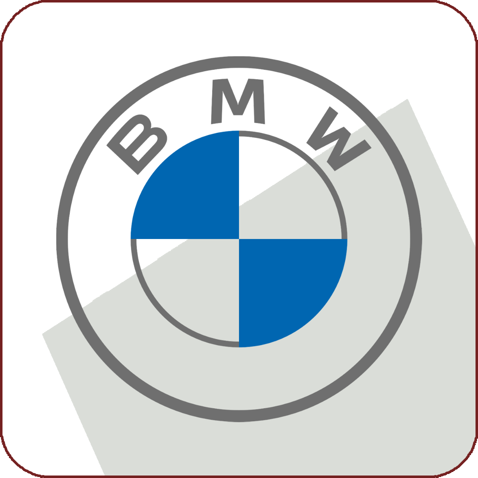 BMW EWS CLAVE